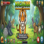 MACAN388 APK
