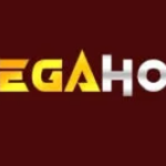 MegaHoki APK