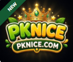 PKNICE Game